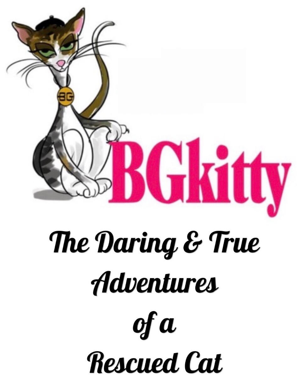 BGkitty